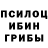 Галлюциногенные грибы MAGIC MUSHROOMS Scriptox