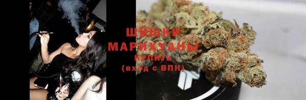 стаф Ладушкин