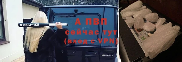 соль ск Лабытнанги