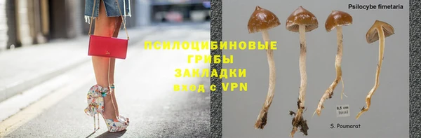 соль ск Лабытнанги