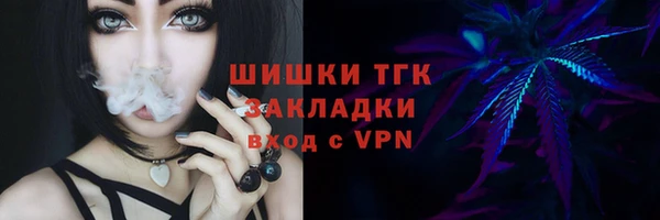стаф Ладушкин