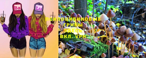 стаф Ладушкин