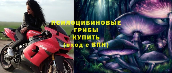 гидропоника Краснослободск