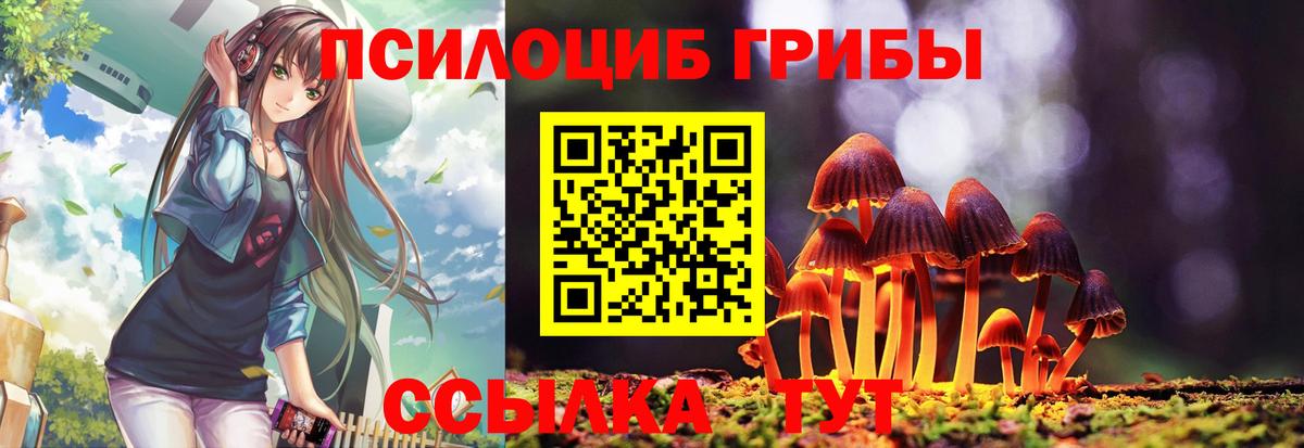 Псилоцибиновые грибы прущие грибы  Псилоцибиновые грибы MAGIC MUSHROOMS  Учалы  Вход с VPN 