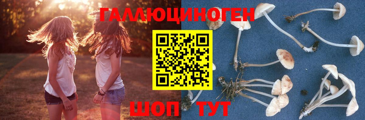Псилоцибиновые грибы Magic Shrooms Учалы